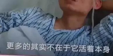 心知肚明的吃瓜群众,心知肚明的吃瓜群众，揭秘娱乐圈幕后真相