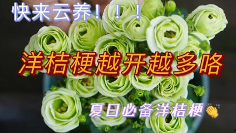 不认识吃瓜群众怎么办呀,应对不熟悉“吃瓜群众”的应对策略解析