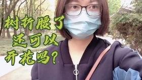 不认识吃瓜群众怎么办呀,应对不熟悉“吃瓜群众”的应对策略解析