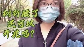 吃瓜群众mmd,揭秘网络红人的幕后故事