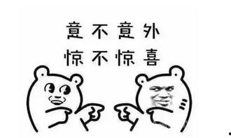 吃瓜群众小猪妹,吃瓜群众的趣味生活