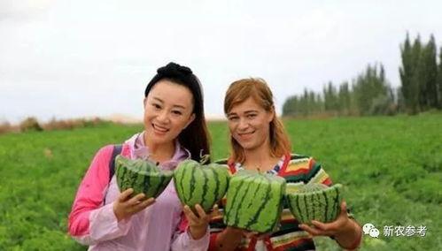 吃瓜群众走世界是真的吗,真实背后的故事与真相