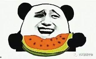 吃瓜群众意寓什么生肖,吃瓜群众背后的生肖秘密