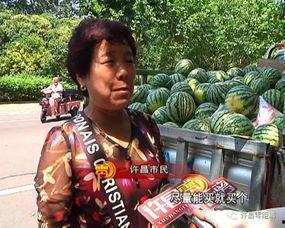 怀化吃瓜群众,吃瓜群众的热议焦点