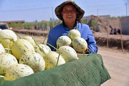 停电群众吃瓜视频,群众吃瓜视频走红网络,揭秘社区生活新常态