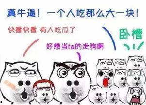 吃瓜群众的瓜扔了,吃瓜群众瓜扔背后的真相揭秘