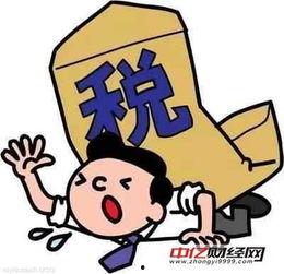 文化人吃瓜群众的图片,一场视觉盛宴的碰撞