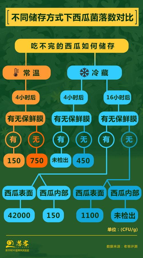 吃瓜群众与心理学效应的关系,揭秘心理学效应在大众娱乐中的影响力