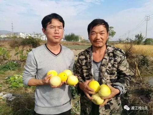 吃瓜群众湛江,吃瓜群众眼中的美食天堂