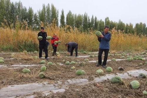 岱宗岱 吃瓜群众,吃瓜群众眼中的神秘之地
