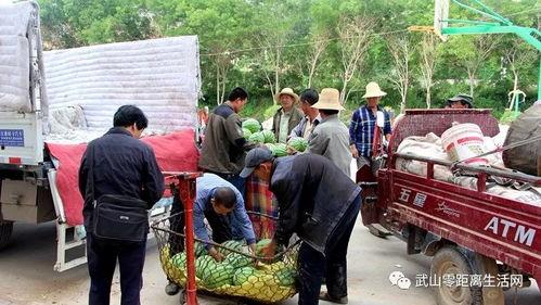 岱宗岱 吃瓜群众,吃瓜群众眼中的神秘之地