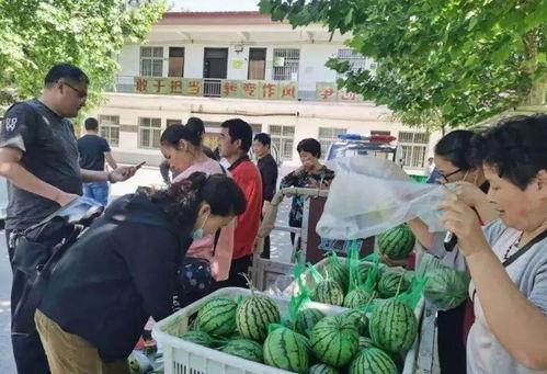 岱宗岱 吃瓜群众,吃瓜群众眼中的神秘之地