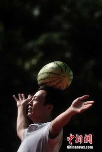 广西吃瓜群众名称,见证地方风土人情，品味生活百态