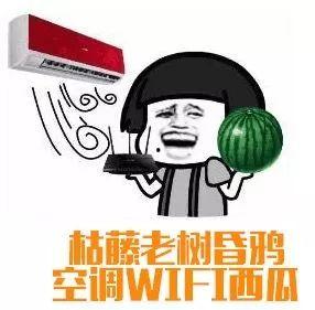 吃瓜群众夏日神器,吃瓜群众夏日神器大盘点