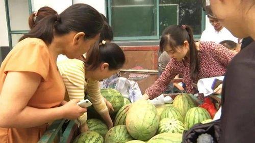 徐州龙湖吃瓜群众事件,网络围观下的社会现象解析