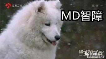 官狼吃瓜群众称号灯,揭秘网络舆论场的风云变幻