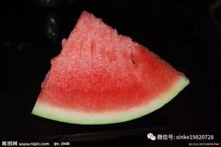 东北早市吃瓜群众