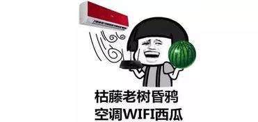 小西瓜吃瓜群众,吃瓜群众的甜蜜生活