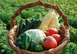 吃瓜群众岱岱四大神奶,揭秘吃瓜群众的智慧与幽默