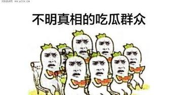 不明白的吃瓜群众,不明所以的围观者众生相